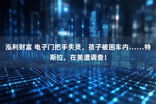 泓利财富 电子门把手失灵,孩子被困车内……特斯拉,在美遭调查!