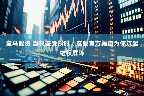 盒马配资 当权益受损时,这些官方渠道为你筑起维权屏障