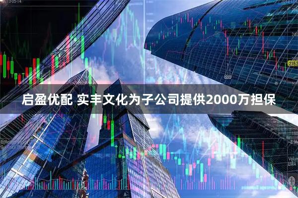 启盈优配 实丰文化为子公司提供2000万担保