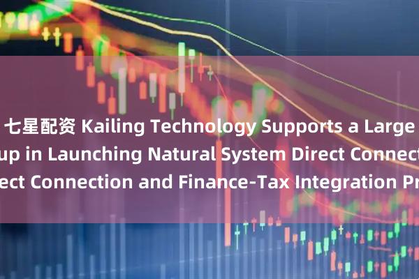 七星配资 Kailing Technology Supports a Large Multinational Group in Launching Natural System Direct Connection and Finance-Tax Integration Project_搜狐网
